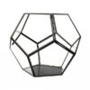 Pentagonal Sphere Glass Terrarium Large