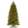 National Tree Company 5.5ft Pre-Lit Bayberry Slim Spruce 'Feel Real' Artificial Christmas Tree -Christmas Decorations 1069976