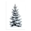 Snowy Tree LED Canvas 40x30cm -Christmas Decorations 1116402