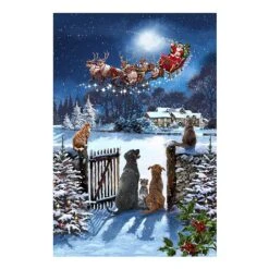 Cats & Dogs LED Canvas 30x40cm