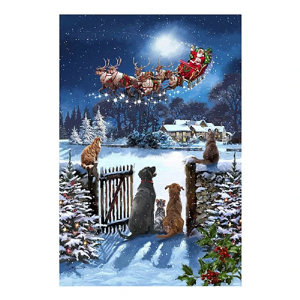 Cats & Dogs LED Canvas 30x40cm 3 Cats & Dogs LED Canvas 30x40cm