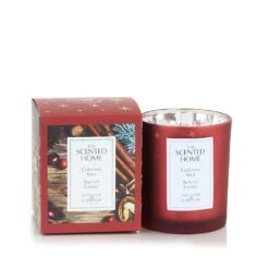 Ashleigh & Burwood Scented Home Christmas Spice Candle 225g