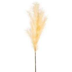 Lumineo LED Pampas Grass Cream