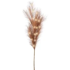 Lumineo LED Pampas Grass Cinnamon
