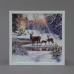 Snowtime Fibre Optic 40x40cm Deer Family Canvas By Richard Macneil (Battery Operated)