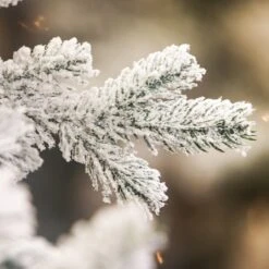 6ft Balmoral Flocked Spruce Artificial Christmas Tree -Christmas Decorations 1244763 3