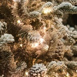 7ft Pre-Lit Balmoral Flocked Spruce Artificial Christmas Tree -Christmas Decorations 1244766 2