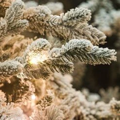 7ft Pre-Lit Balmoral Flocked Spruce Artificial Christmas Tree -Christmas Decorations 1244766 3