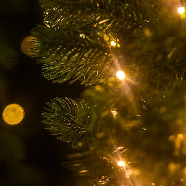 6ft Pre-Lit Colorado Pencil Spruce Artificial Christmas Tree 6 6ft Pre-Lit Colorado Pencil Spruce Artificial Christmas Tree - Image 4