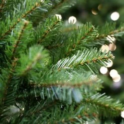 National Tree Company 5ft Dunhill Fir Artificial Christmas Tree 14 National Tree Company 5ft Dunhill Fir Artificial Christmas Tree -Christmas Decorations 271041 1 3