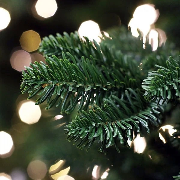 National Tree Company 7.5ft Bayberry Spruce Slim Feel-Real Artificial Christmas Tree 9 National Tree Company 7.5ft Bayberry Spruce Slim Feel-Real Artificial Christmas Tree - Image 7