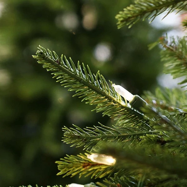 National Tree Company 6.5ft Pre-Lit Weeping Spruce Feel-Real Artificial Christmas Tree 9 National Tree Company 6.5ft Pre-Lit Weeping Spruce Feel-Real Artificial Christmas Tree - Image 7