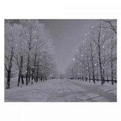 Snowy Woodland Street LED Canvas 70x50cm