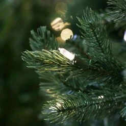 7ft Pre-Lit Ontario Fir Artificial Christmas Tree 11 7ft Pre-Lit Ontario Fir Artificial Christmas Tree -Christmas Decorations 992186 2