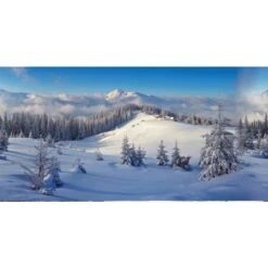 My Village Background Cloth Winter Forest (Various Sizes)